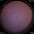 1547257730.jpg