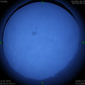 1547259530.jpg