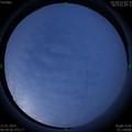 1547348358.jpg