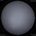 1548057450.jpg