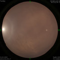 1548078746.jpg