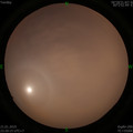 1548087645.jpg