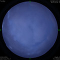 1548208648.jpg