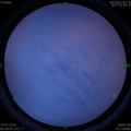 1548380316.jpg