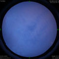 1548380511.jpg