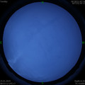 1548381217.jpg