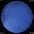 1548554433.jpg