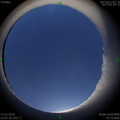 1548918479.jpg