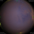 1559417843.jpg
