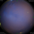 1559418503.jpg