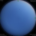 1562082045.jpg