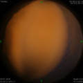 1562090614.jpg