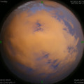 1562181063.jpg