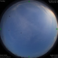 1562250321.jpg