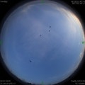 1562250441.jpg