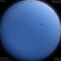 1562255229.jpg