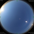 1562455615.jpg