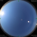 1562458332.jpg