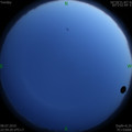 1562601441.jpg