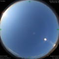 1562626863.jpg