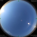 1562628439.jpg
