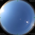 1562628829.jpg