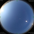 1562801796.jpg