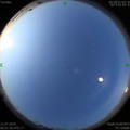 1562802561.jpg