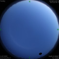 1562859934.jpg