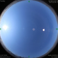 1562894286.jpg