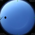 1563051022.jpg