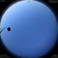 1563051892.jpg