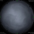 1563256159.jpg