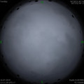 1563257345.jpg
