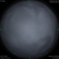 1563263047.jpg