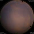 1563304708.jpg