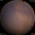1563304828.jpg