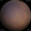 1563305068.jpg