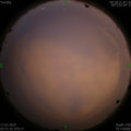 1563305368.jpg