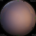 1563306839.jpg