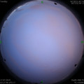 1563308730.jpg