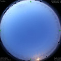 1563394856.jpg