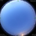 1563394916.jpg