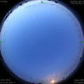 1563395006.jpg
