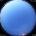 1563395757.jpg