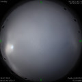 1563417202.jpg