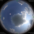 1563443255.jpg