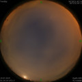 1563474125.jpg