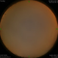 1563475805.jpg