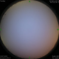 1563481118.jpg